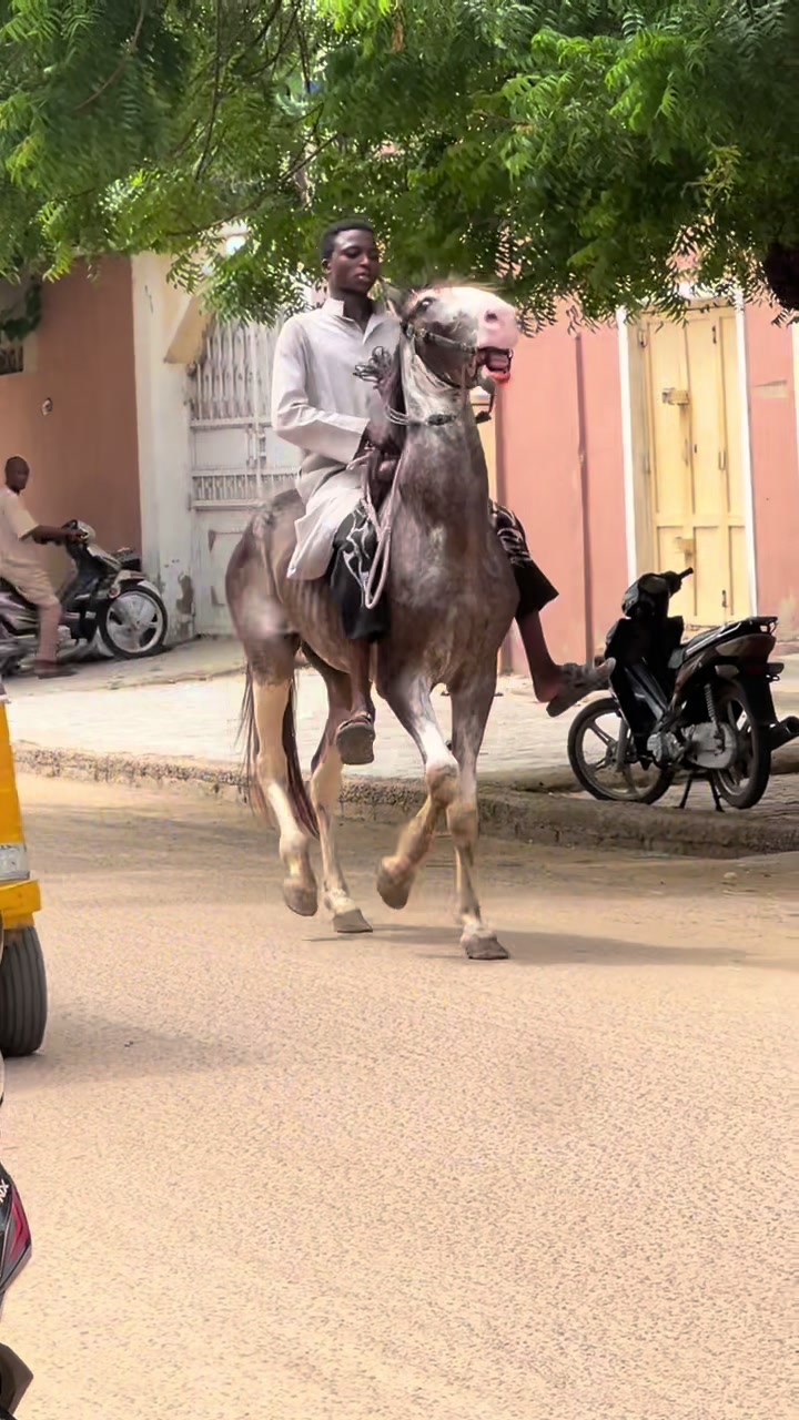 @mubarak_kainuwa01