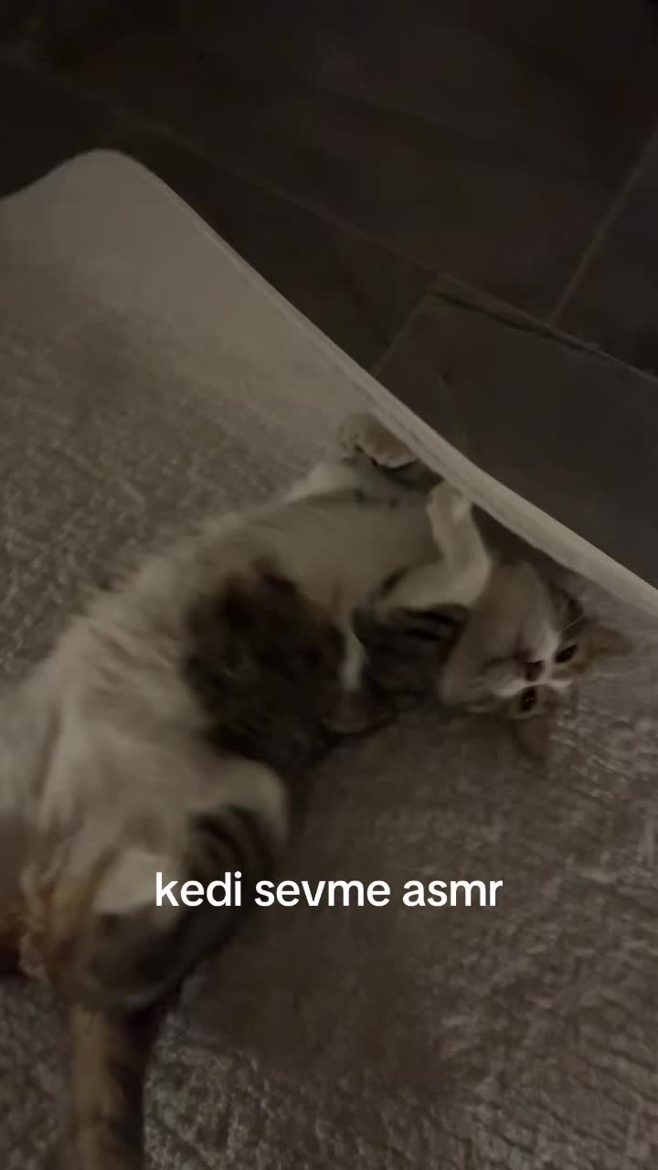 @ecrin