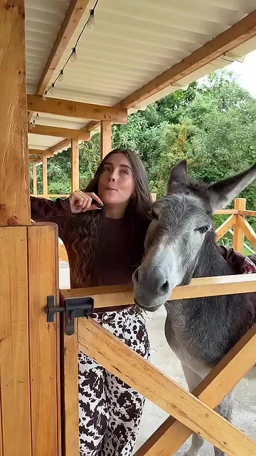 @La Leonera