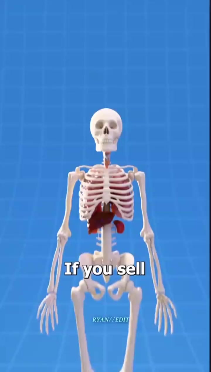 @JDSN