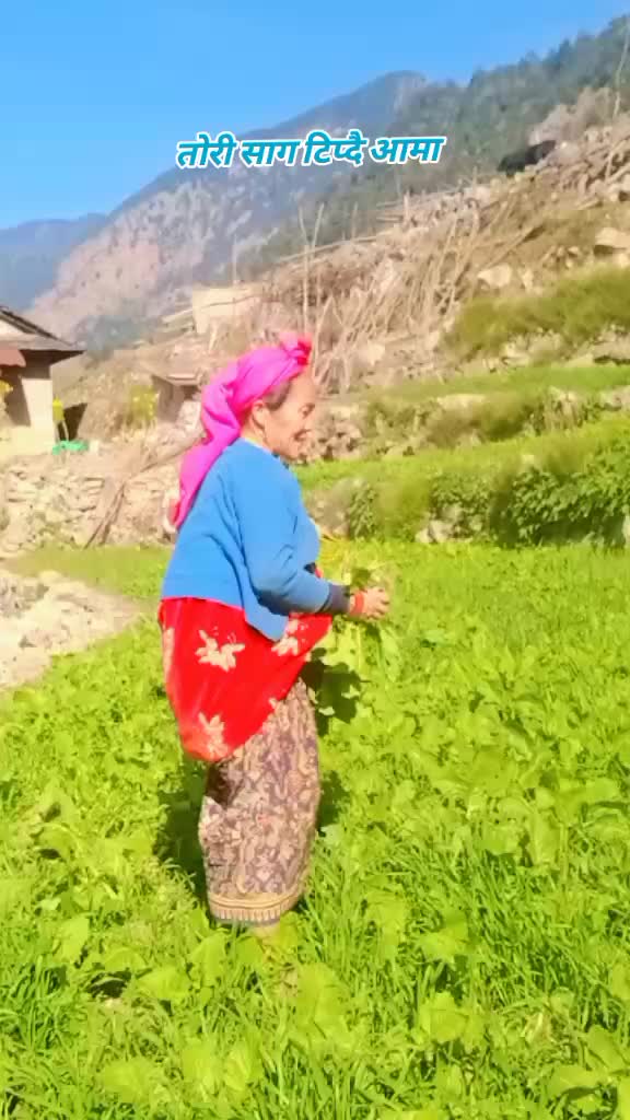 @Seeru Mogorni