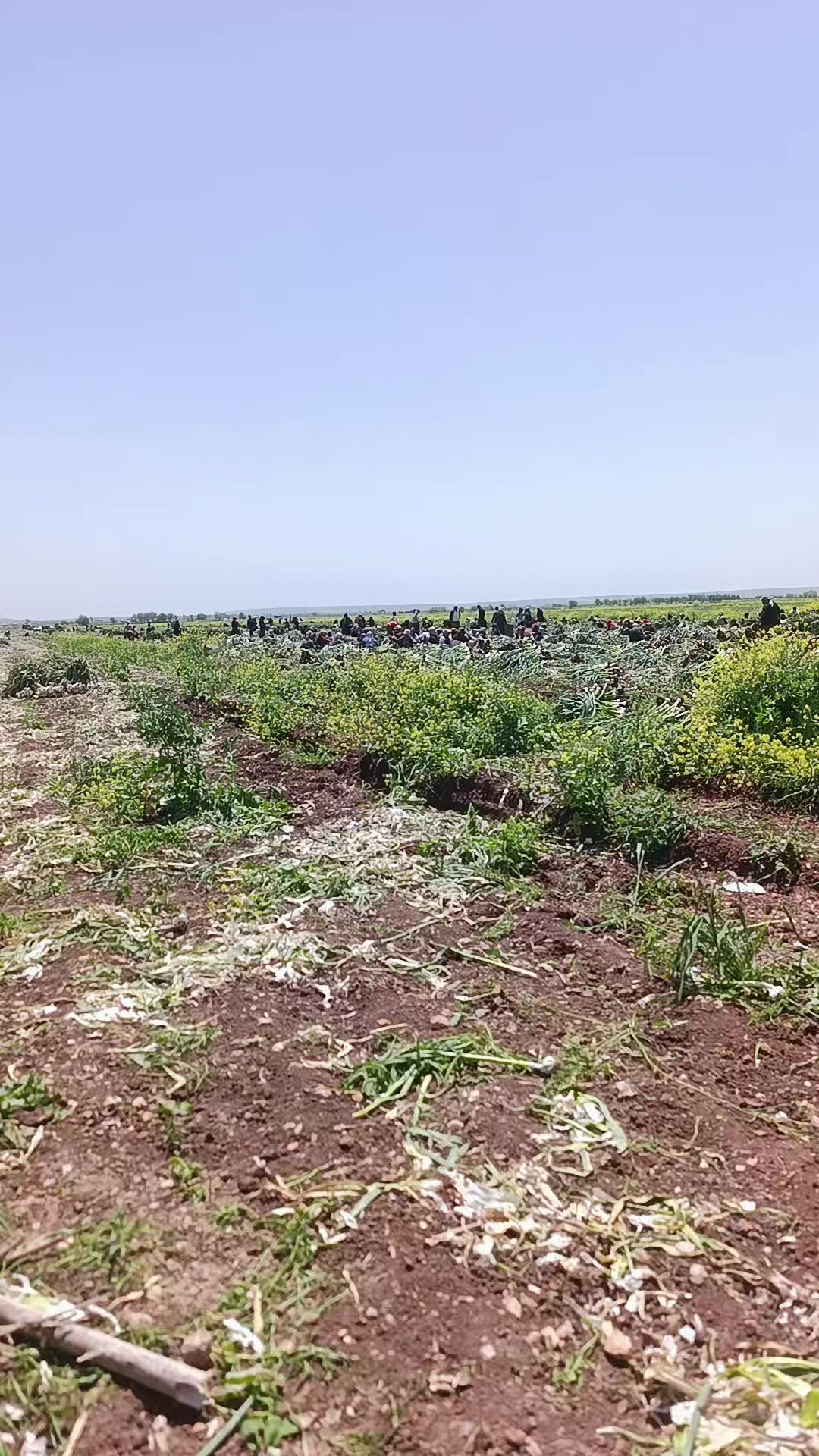 @BERİVAN-CAVUŞ
