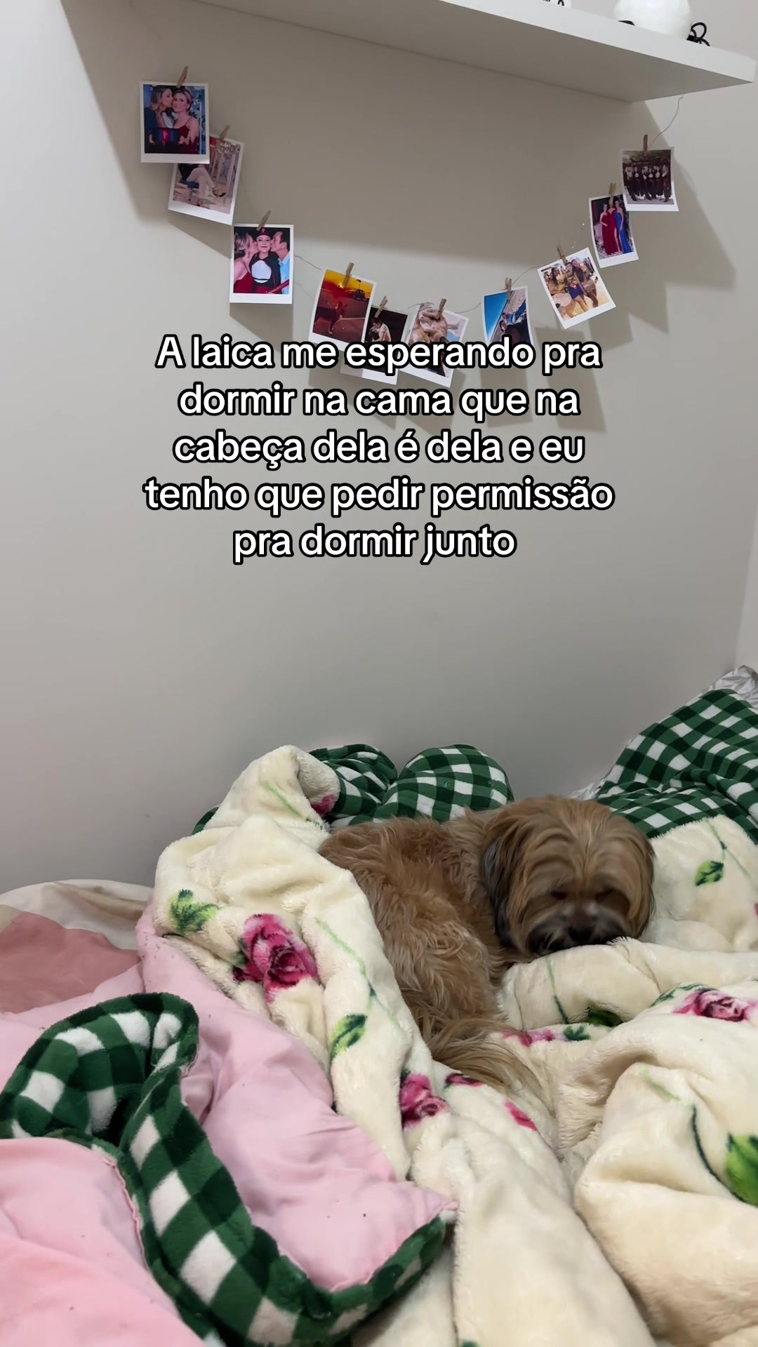 @Daiane girelli