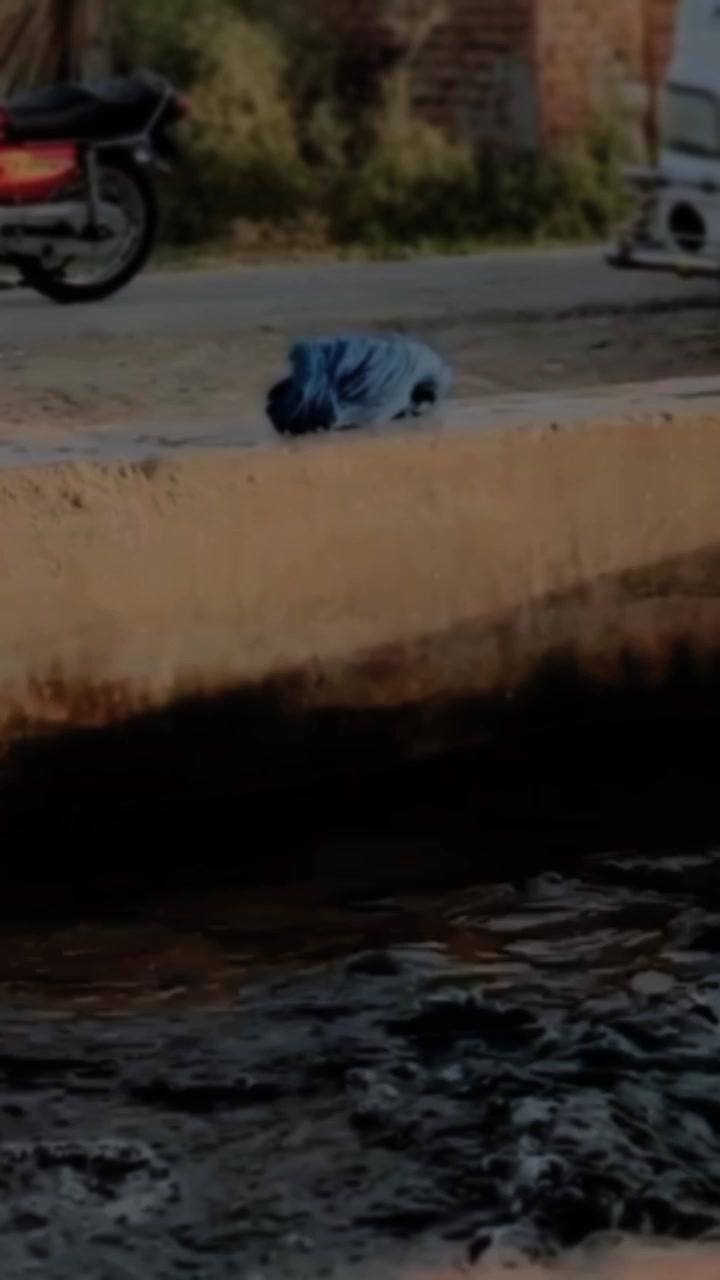 @@𝘾𝙡𝙖𝙨𝙨𝙮_(𝙎𝙤𝙣𝙮)
