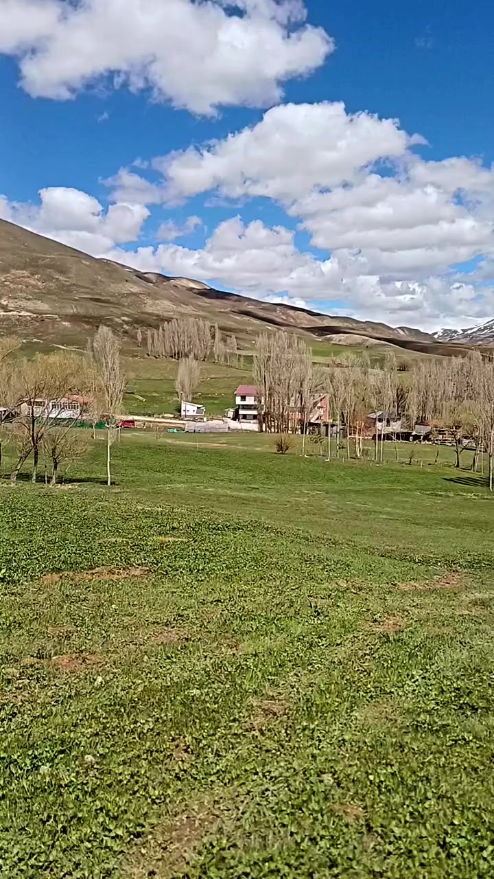 @muhsinderdiyok