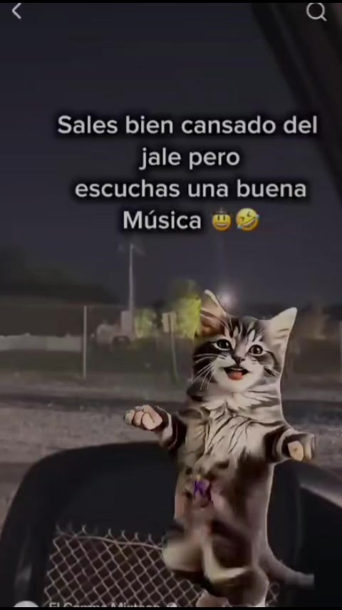 @🦂🍼🦅Sʜᴜʟi✝️👹