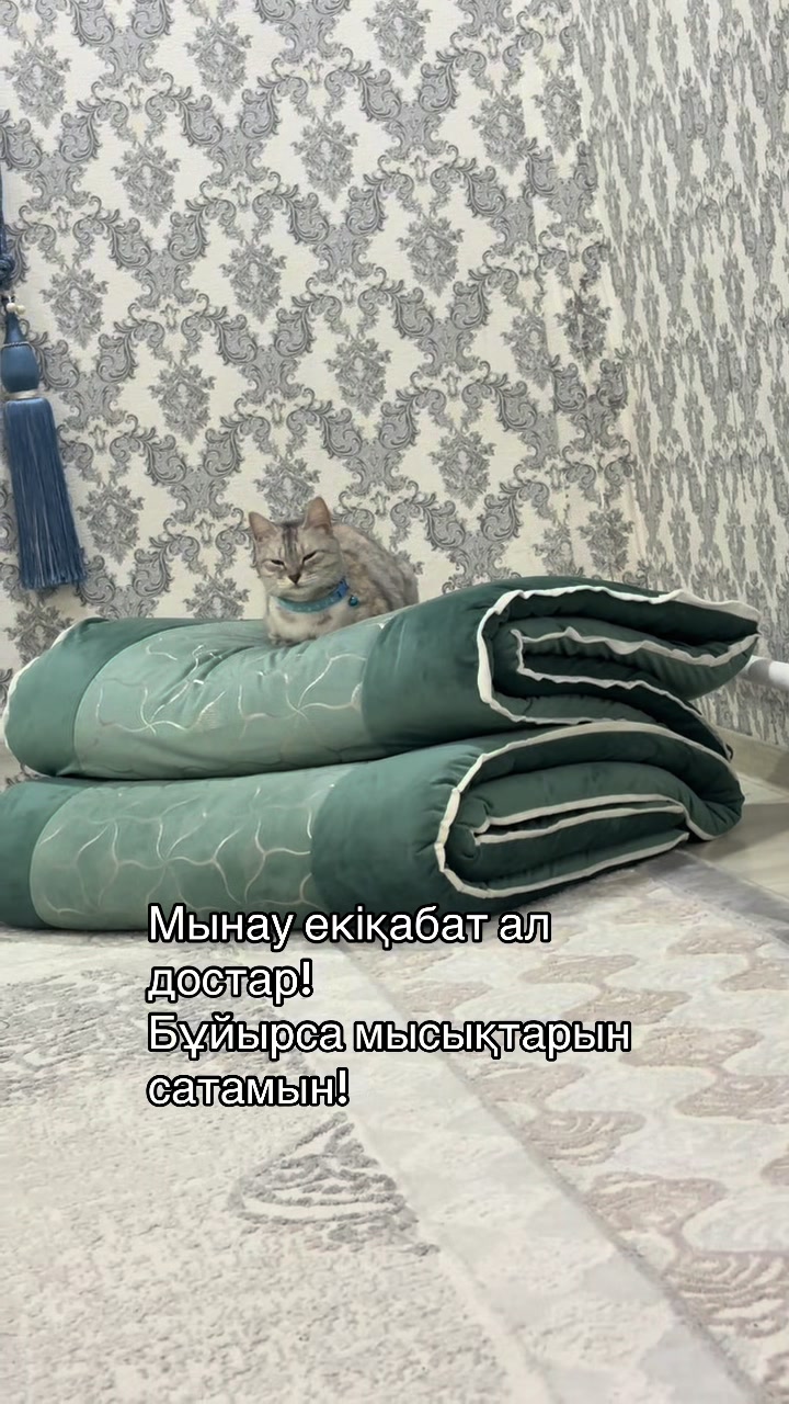 @boni04akx