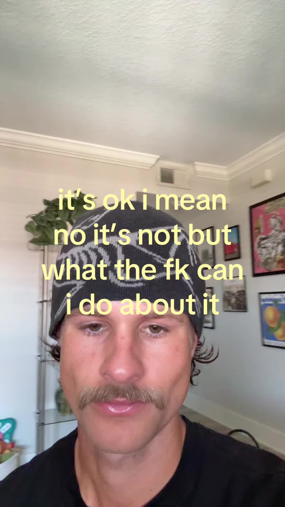 @shane