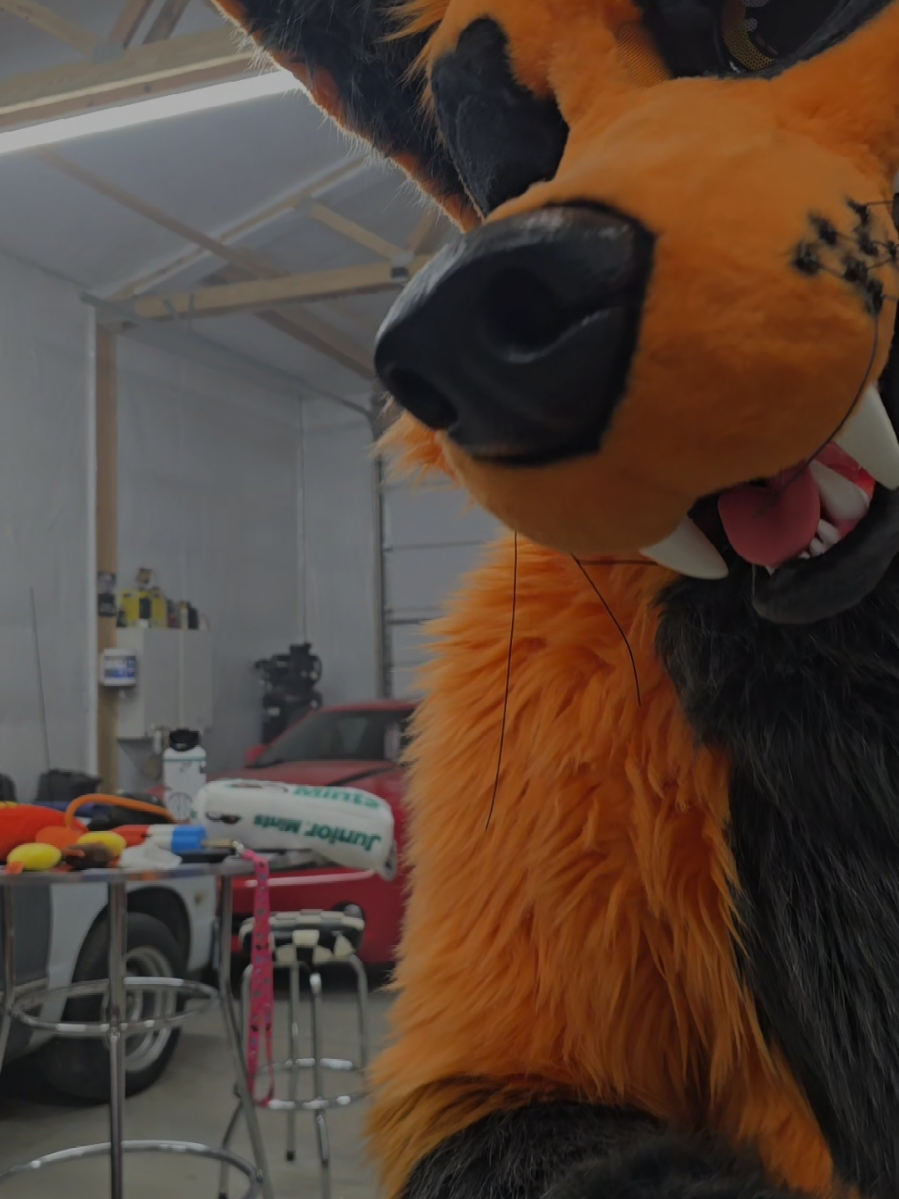 @Grease Wolf