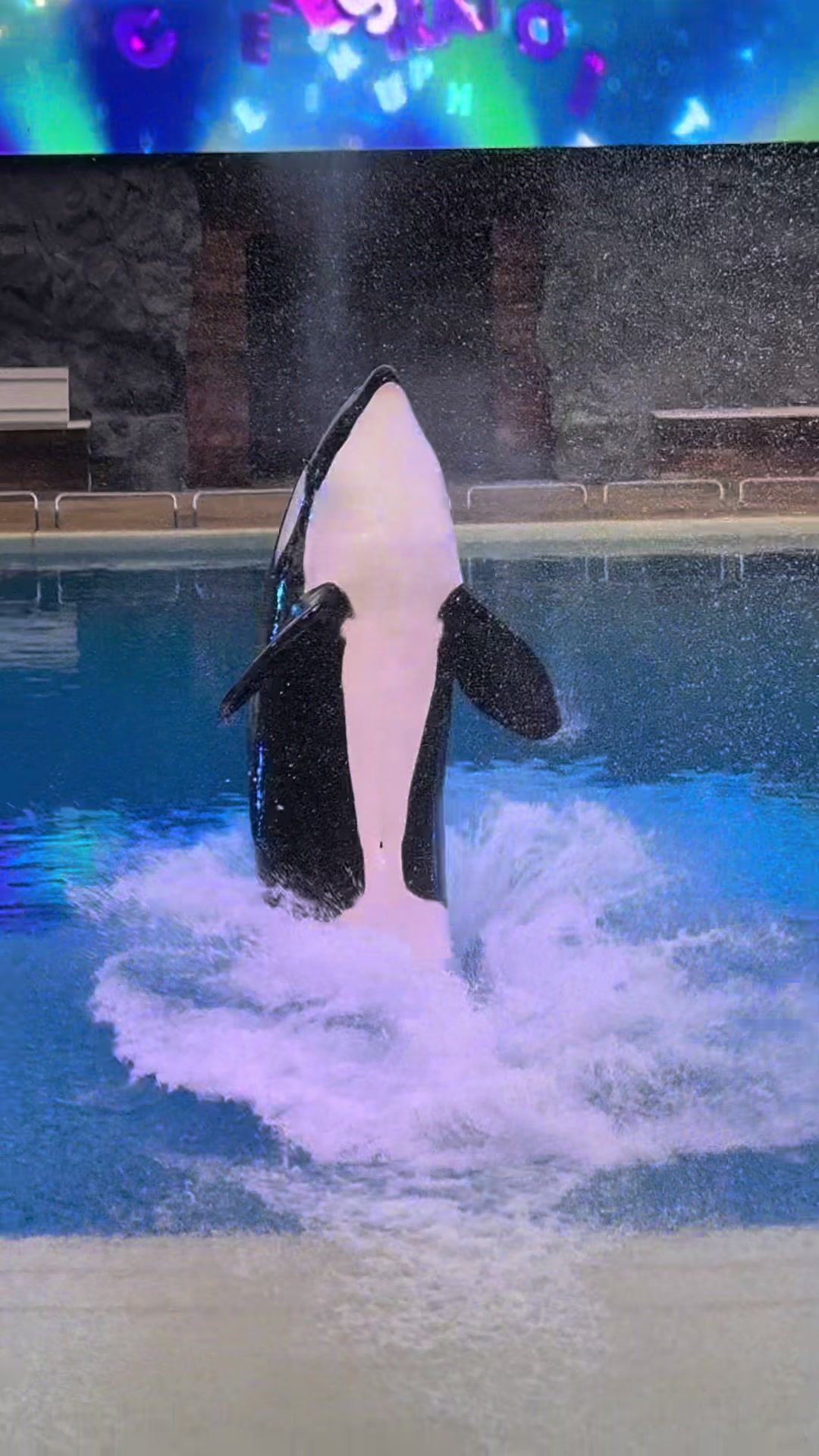 @OlivierSeaworld