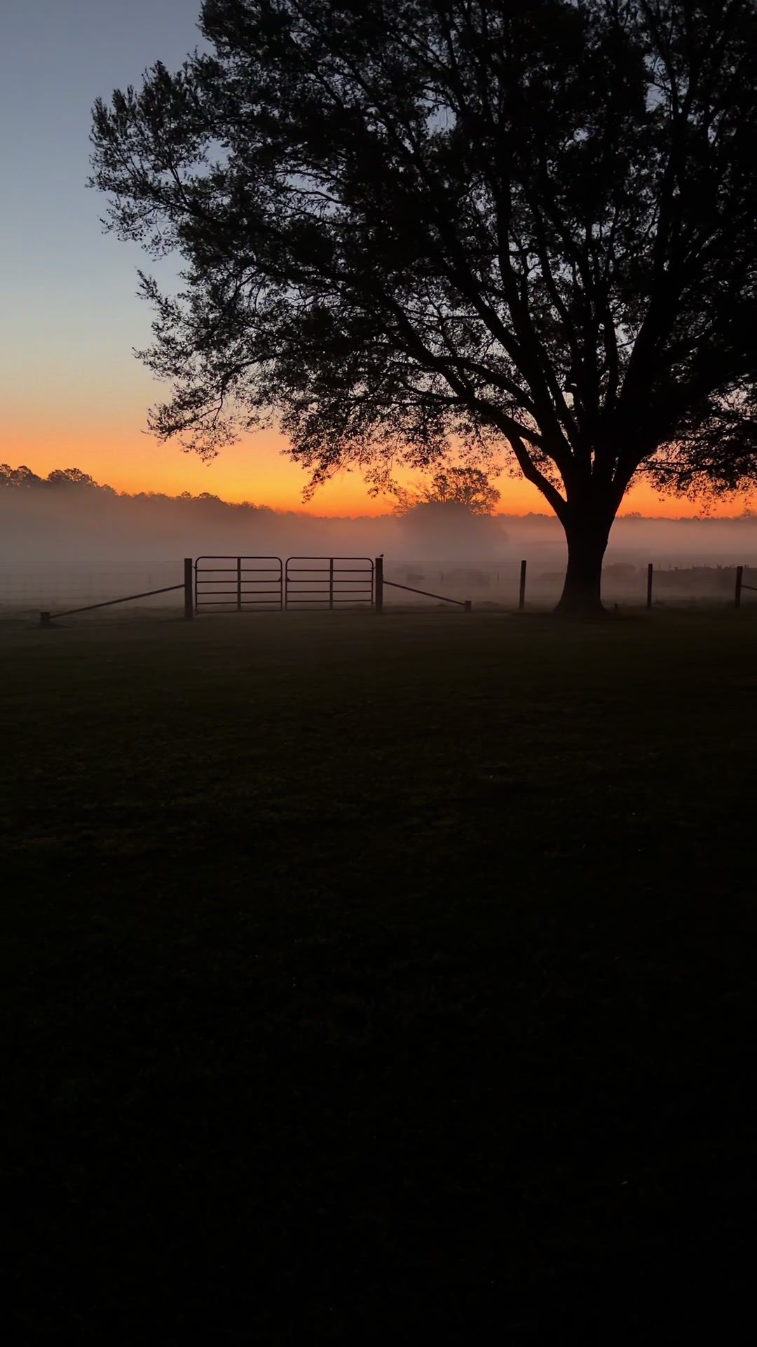 @masonhillsfarm
