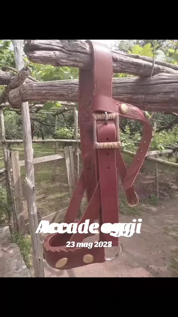 @Gio Mansi