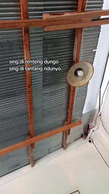 @tole🐣