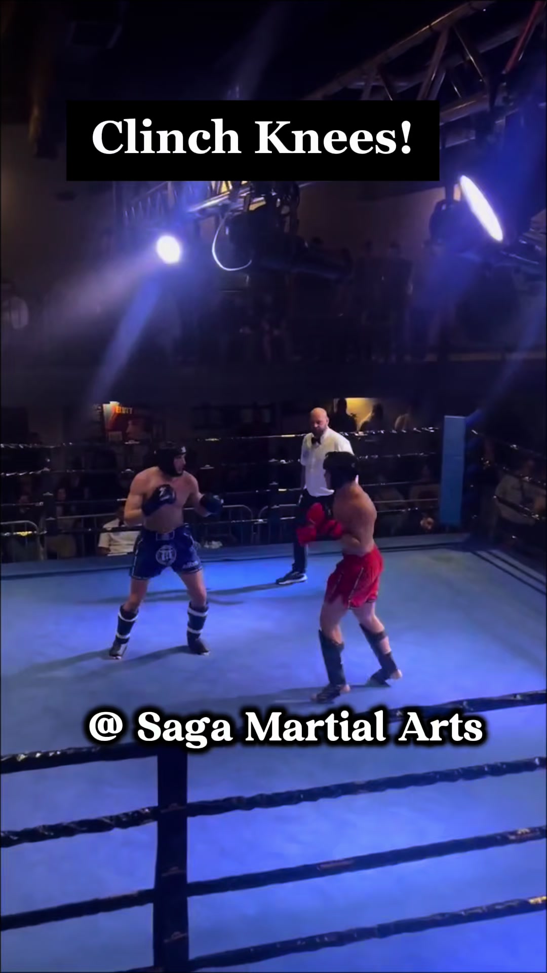 @Saga Martial Arts