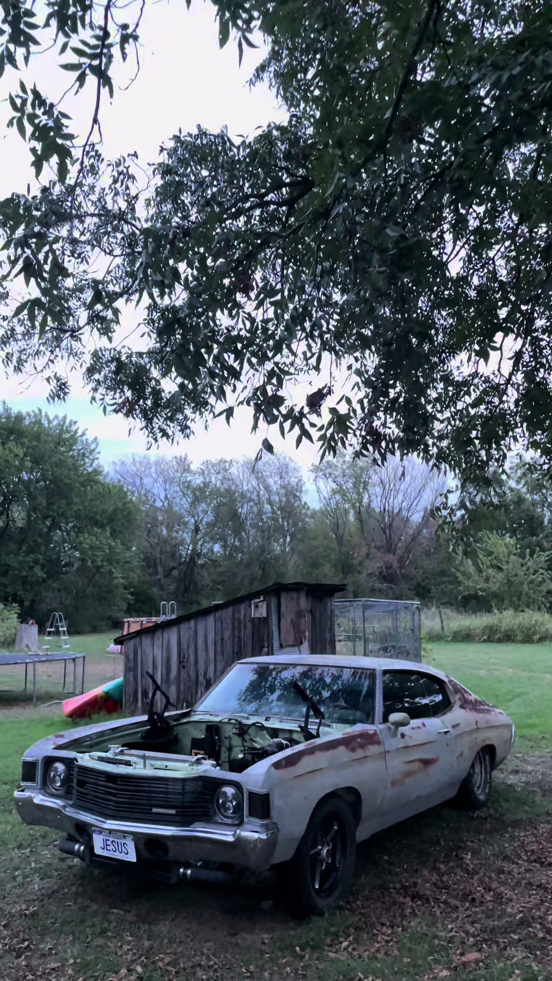 @August.Dodson