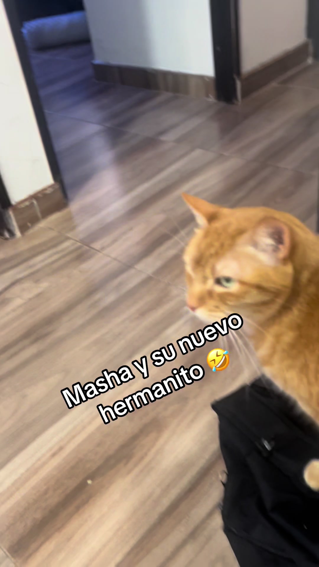 @Estefany Bolivar