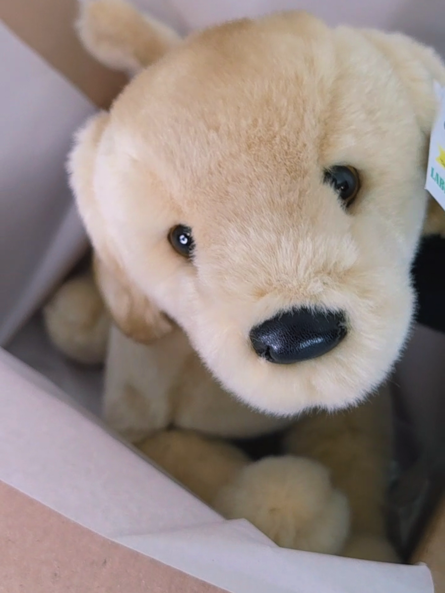 @TreasureDenPlush