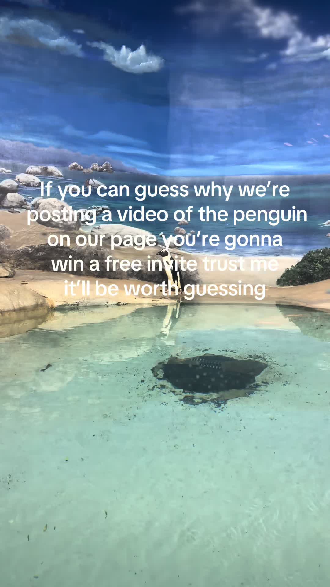 @therowdymermaid