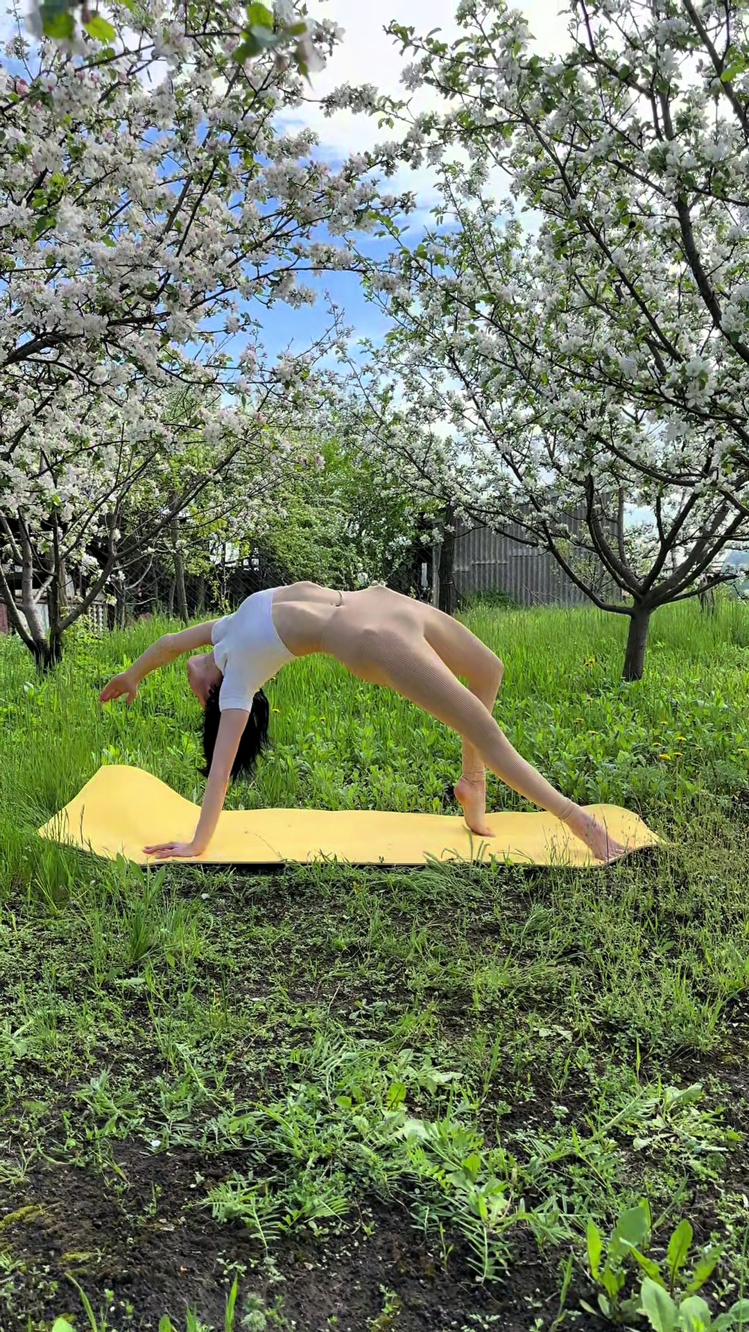 @YOGA/MOTIVATION/BODY/SPORT