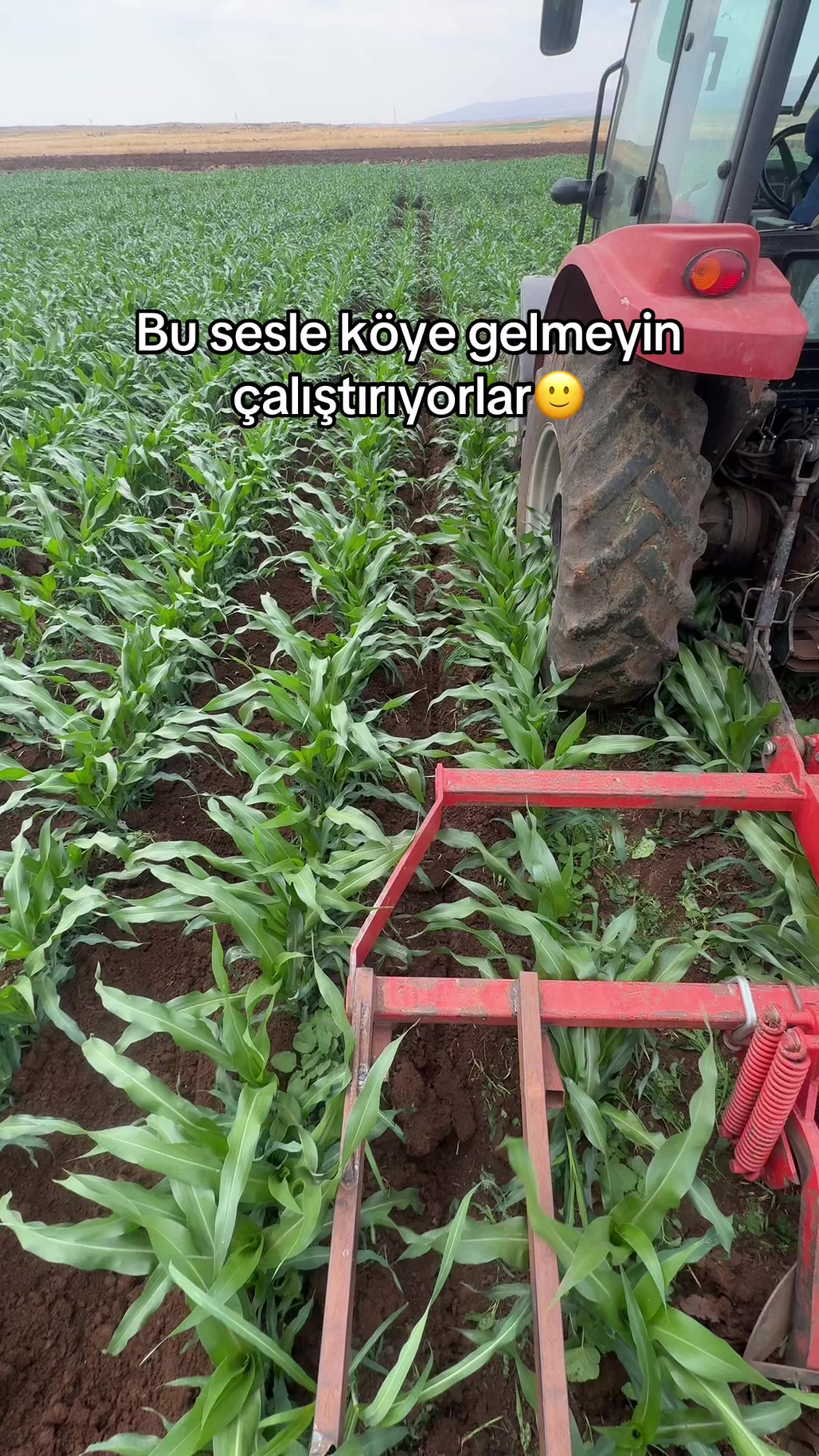 @ismailkrw