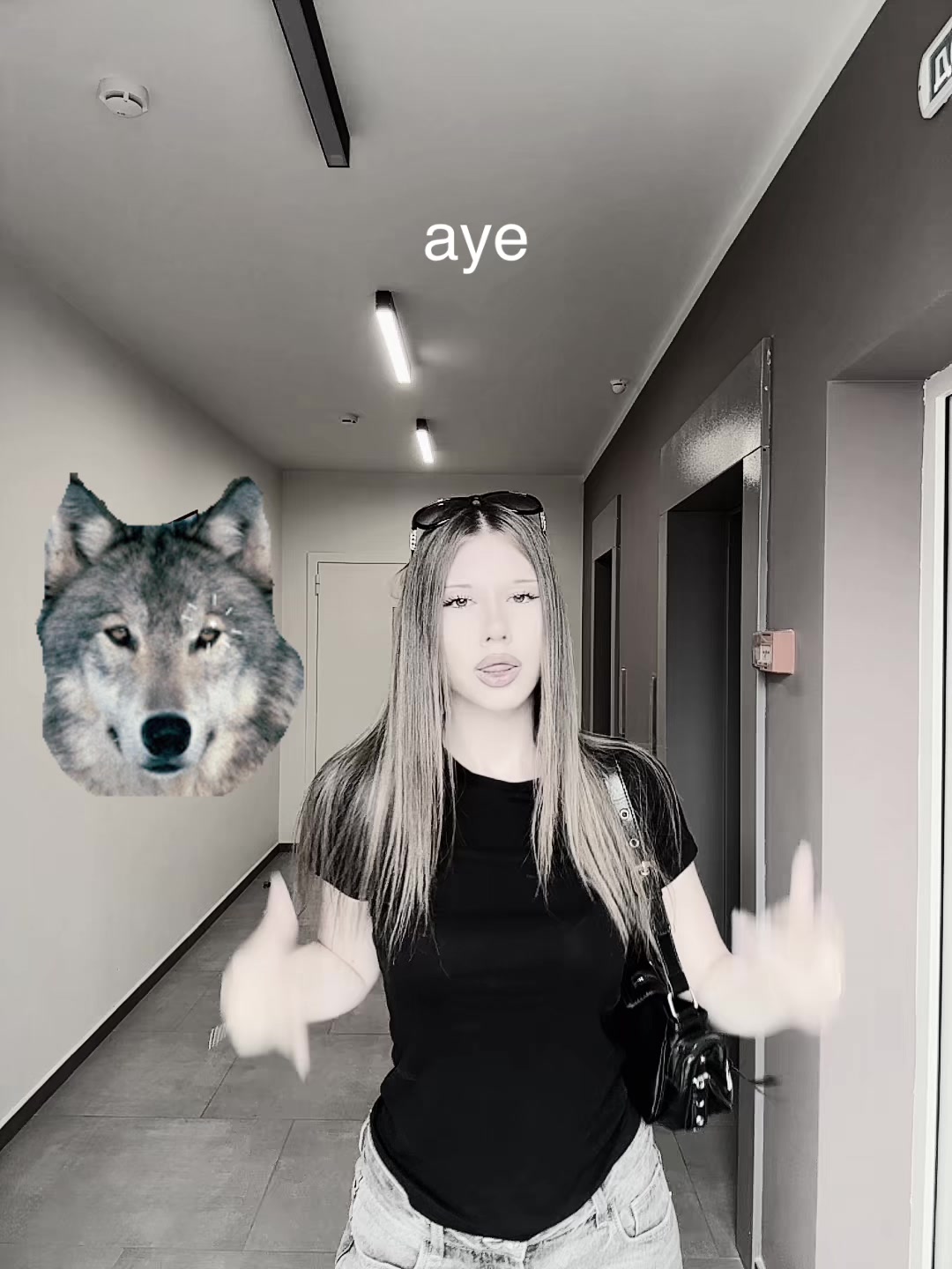 @дисишузова