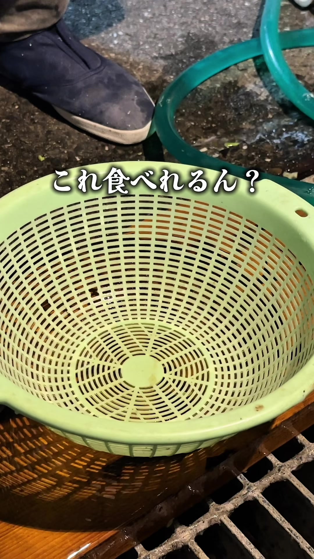 @りょう丸船長