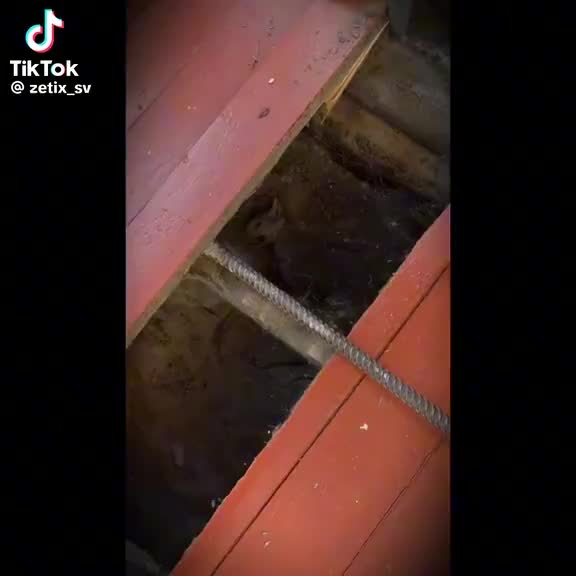@Мар'яна Бурак
