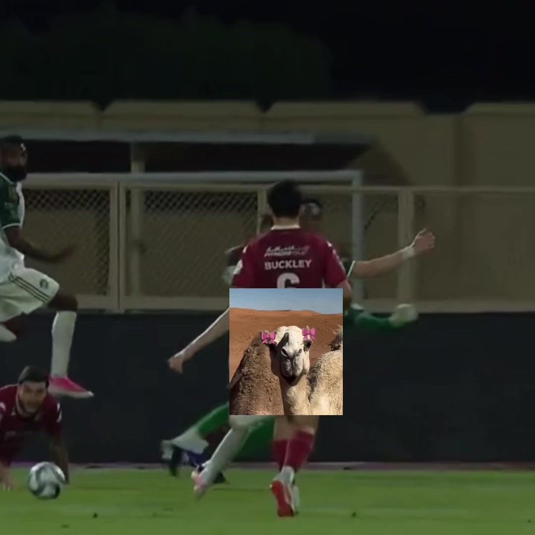 @إيفان | الاهلي