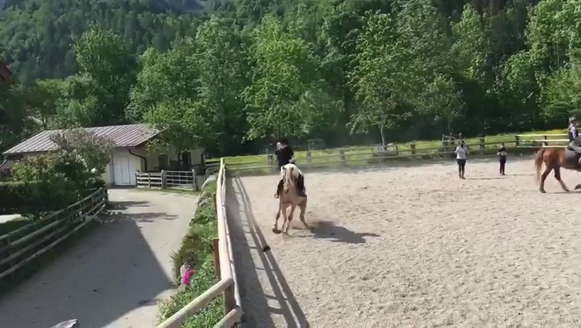 @Mountain Hill Ranch 🇦🇹