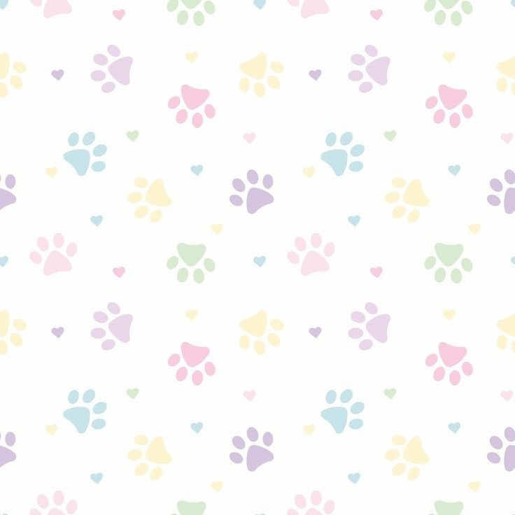 @🎀ᵗᵃᵐˢʸ’ˢ𝗈ρ𝗁ꪱᜒ ᥫ᭡