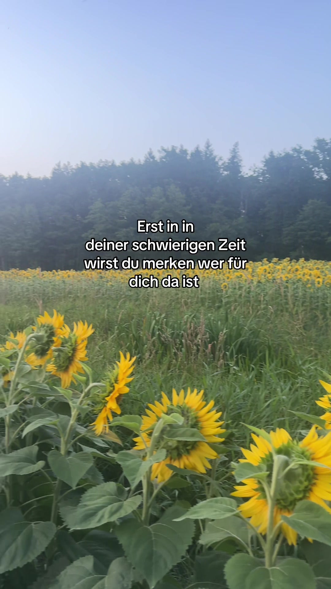 @𝒜𝓃𝓃𝒶🌺