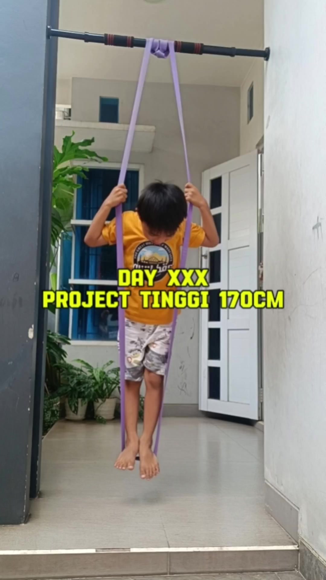 @videsvistore