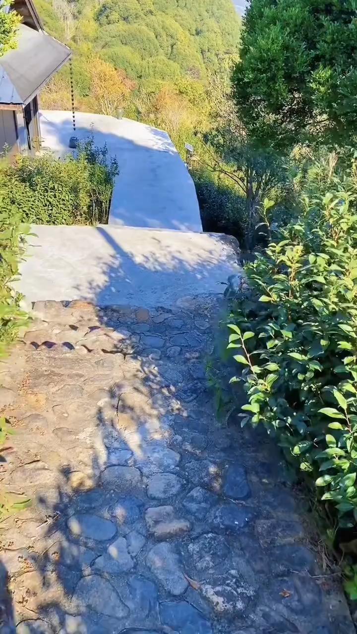 @椰陋🥥威斯♡