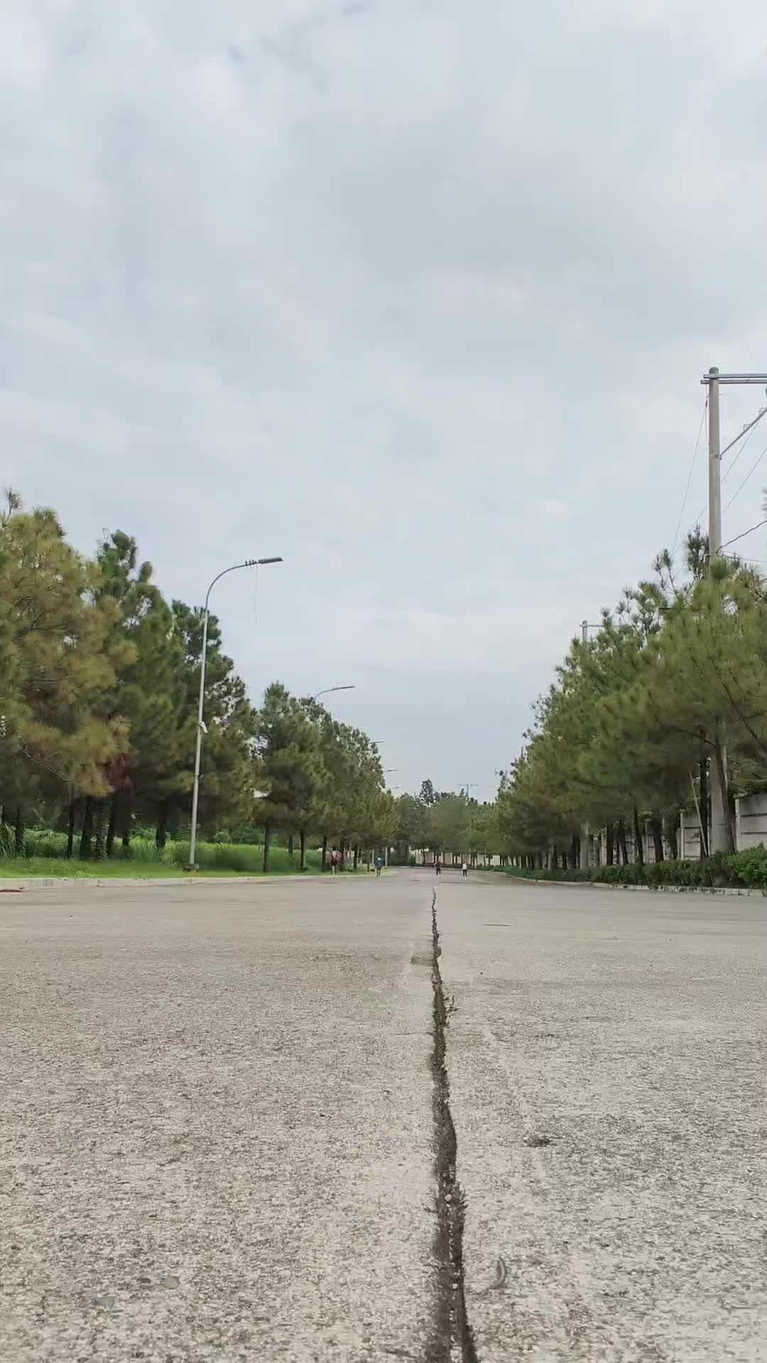 @AyemQui