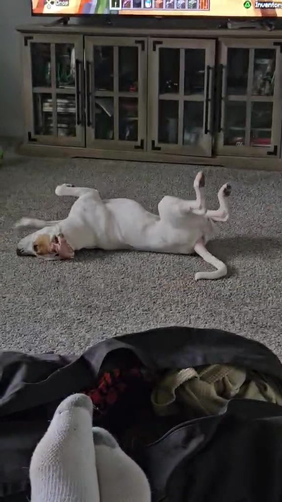 @Sproutie 🐶