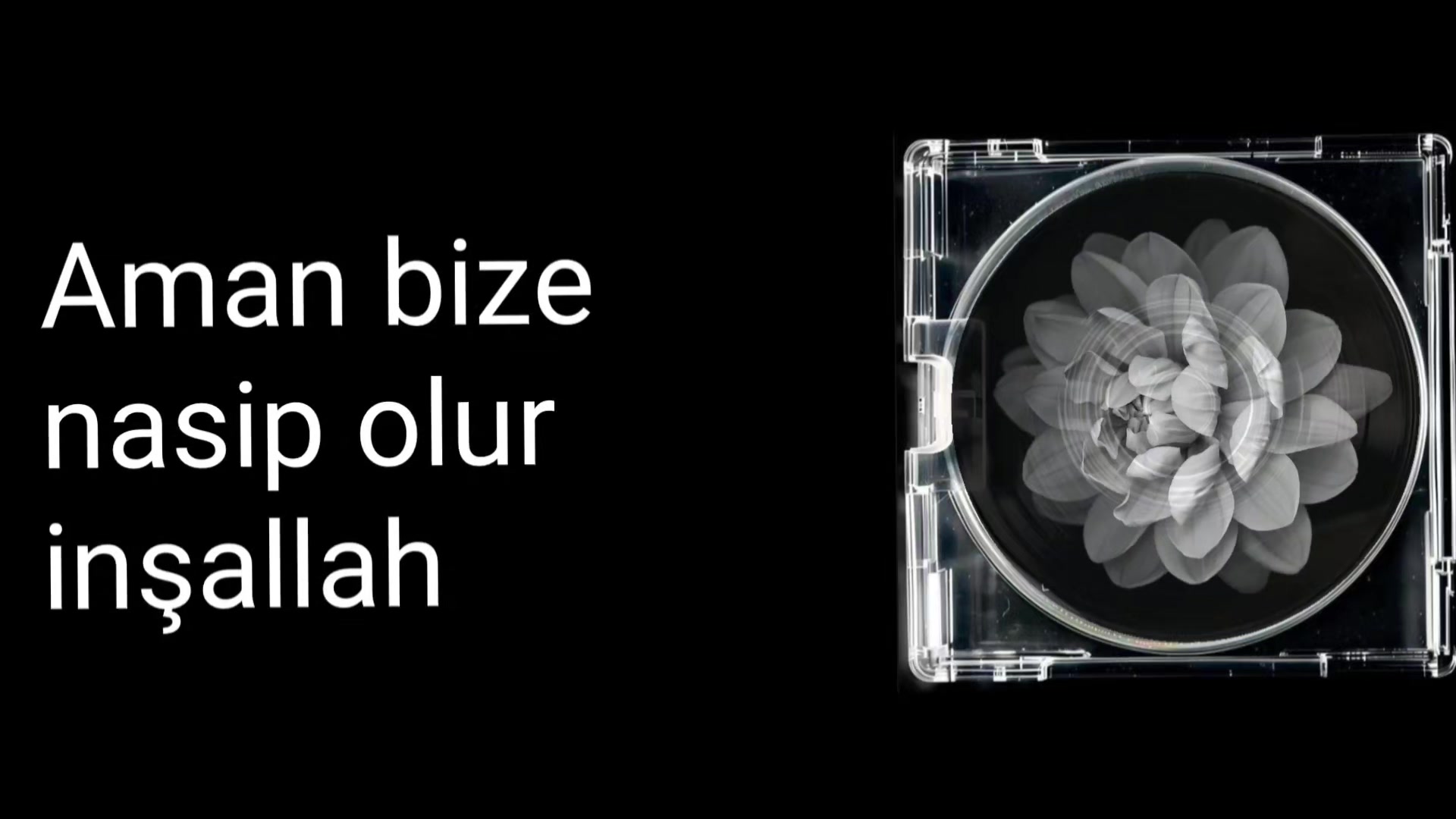 @Lyrics