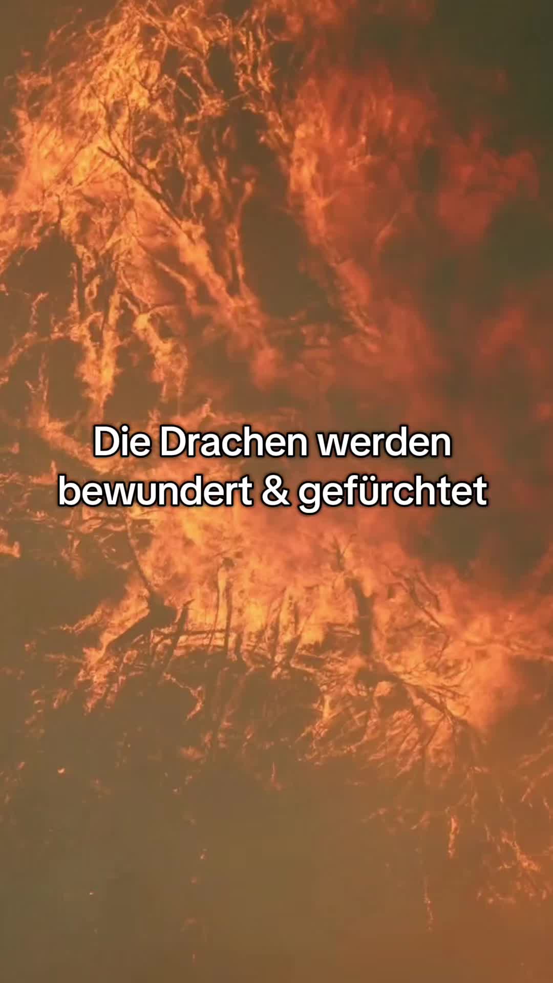 @Franzi Kamberger _Autorin