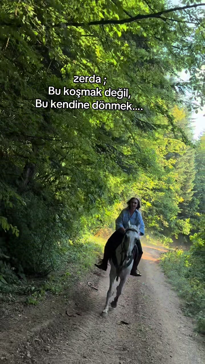 @esra.guzelark