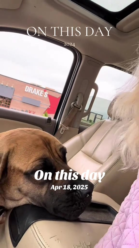 @Lisa
