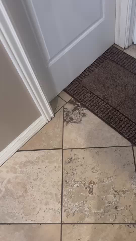 @yungterry17