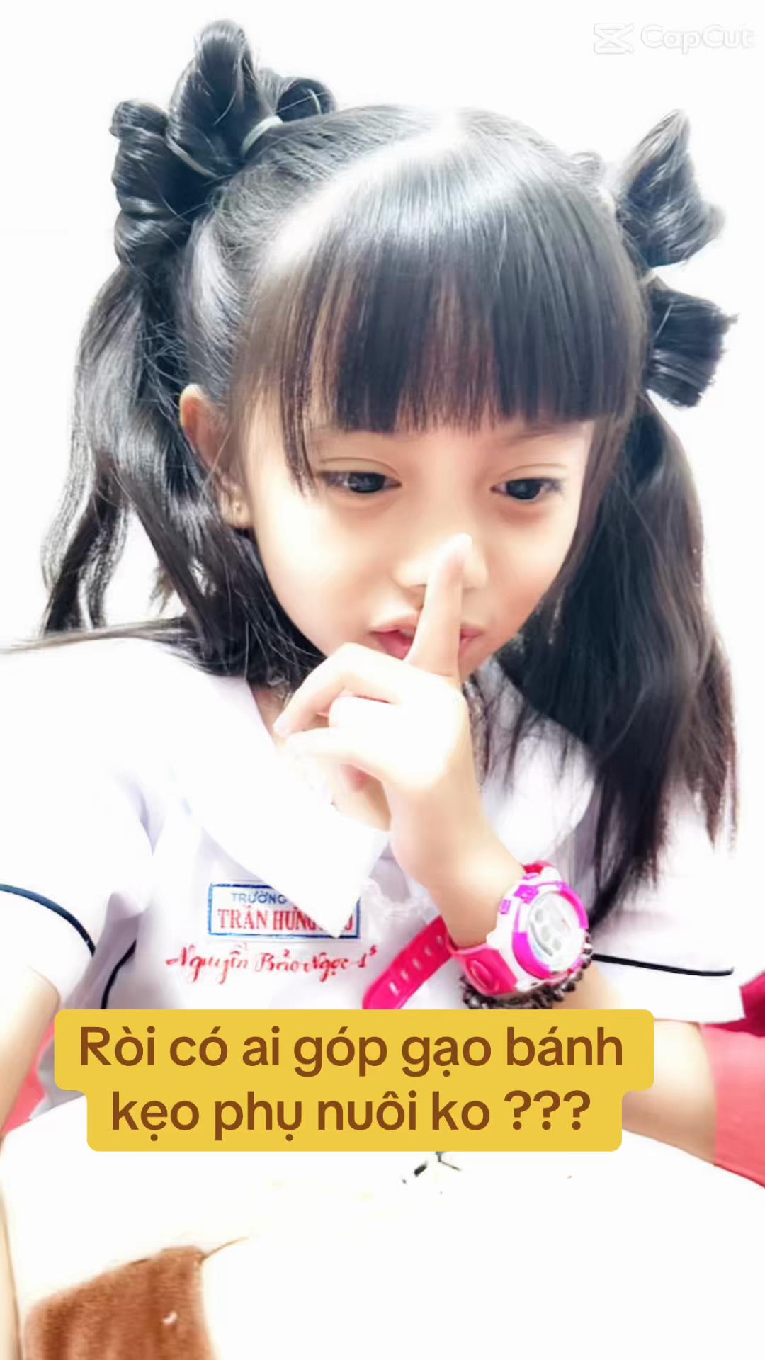 @💗🇻🇳⛩️A Chẩy⛩️🇻🇳💗