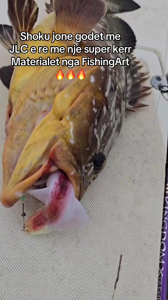 @FishingArt dyqan peshkimi