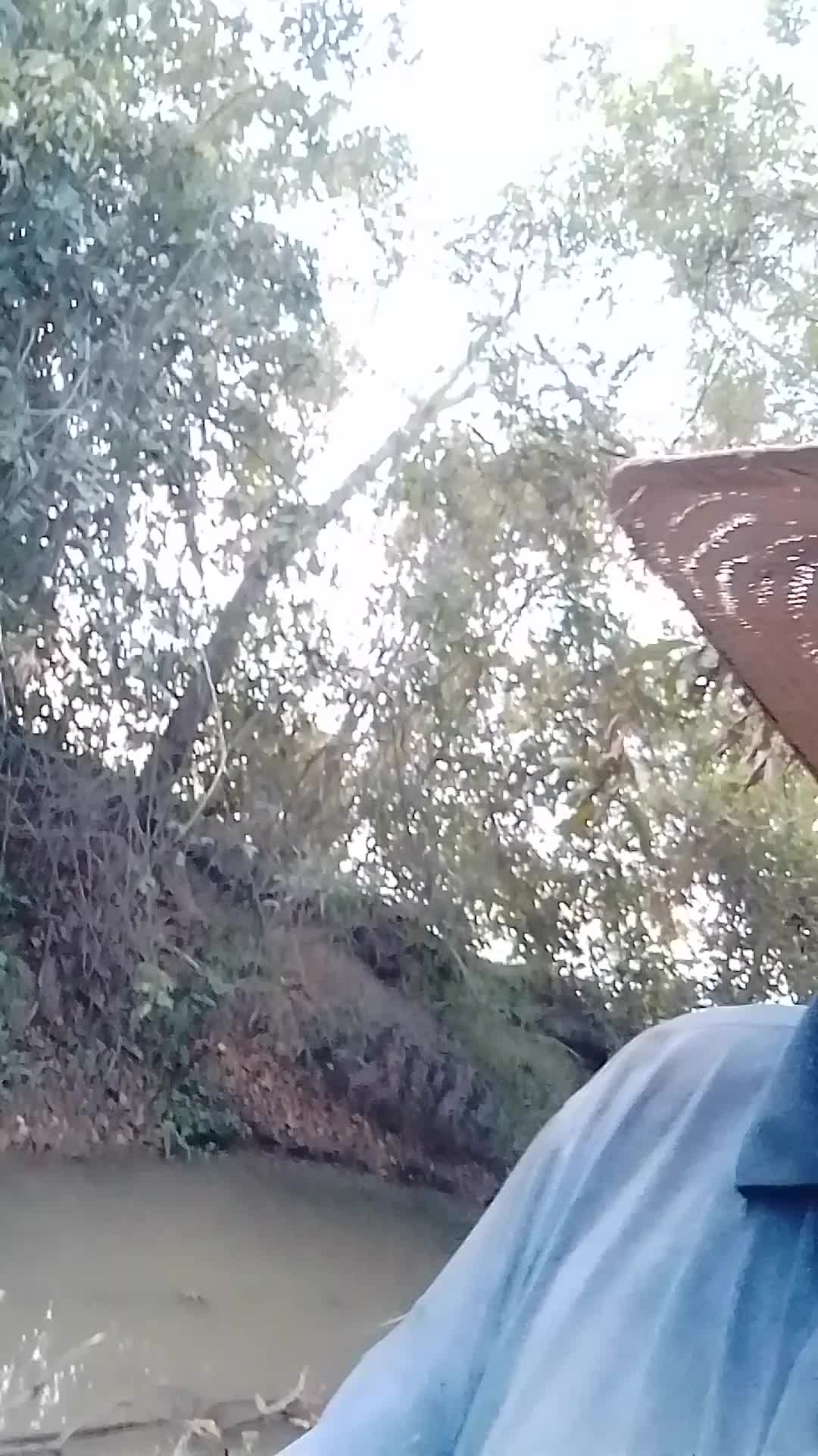 @Rodrigues Costa