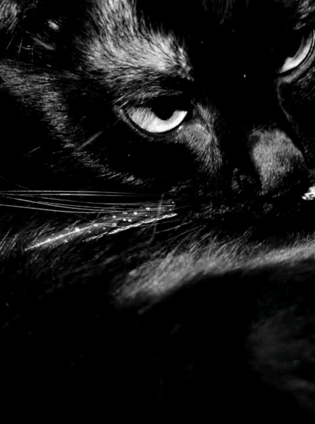 @⌗ ꯨꯪꪀꫀ꯭ꪀꭤ ꯨ♠