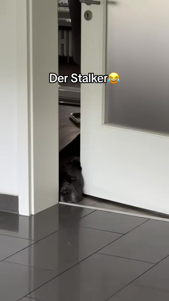 @luca29.7