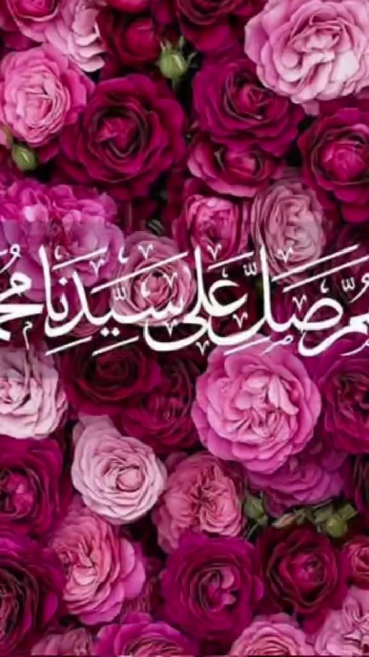 @Hamza Maqsood 288
