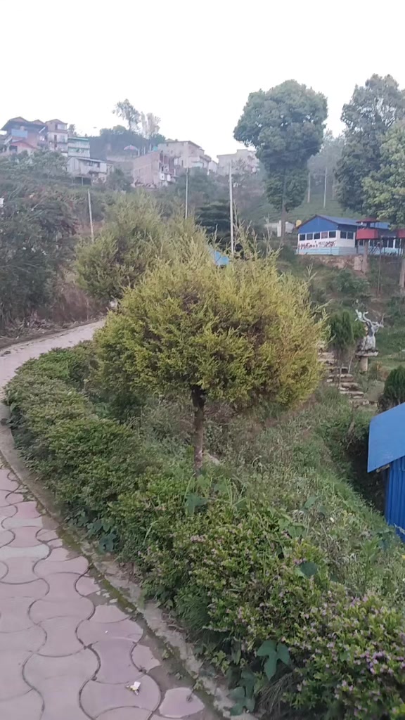 @bhumika
