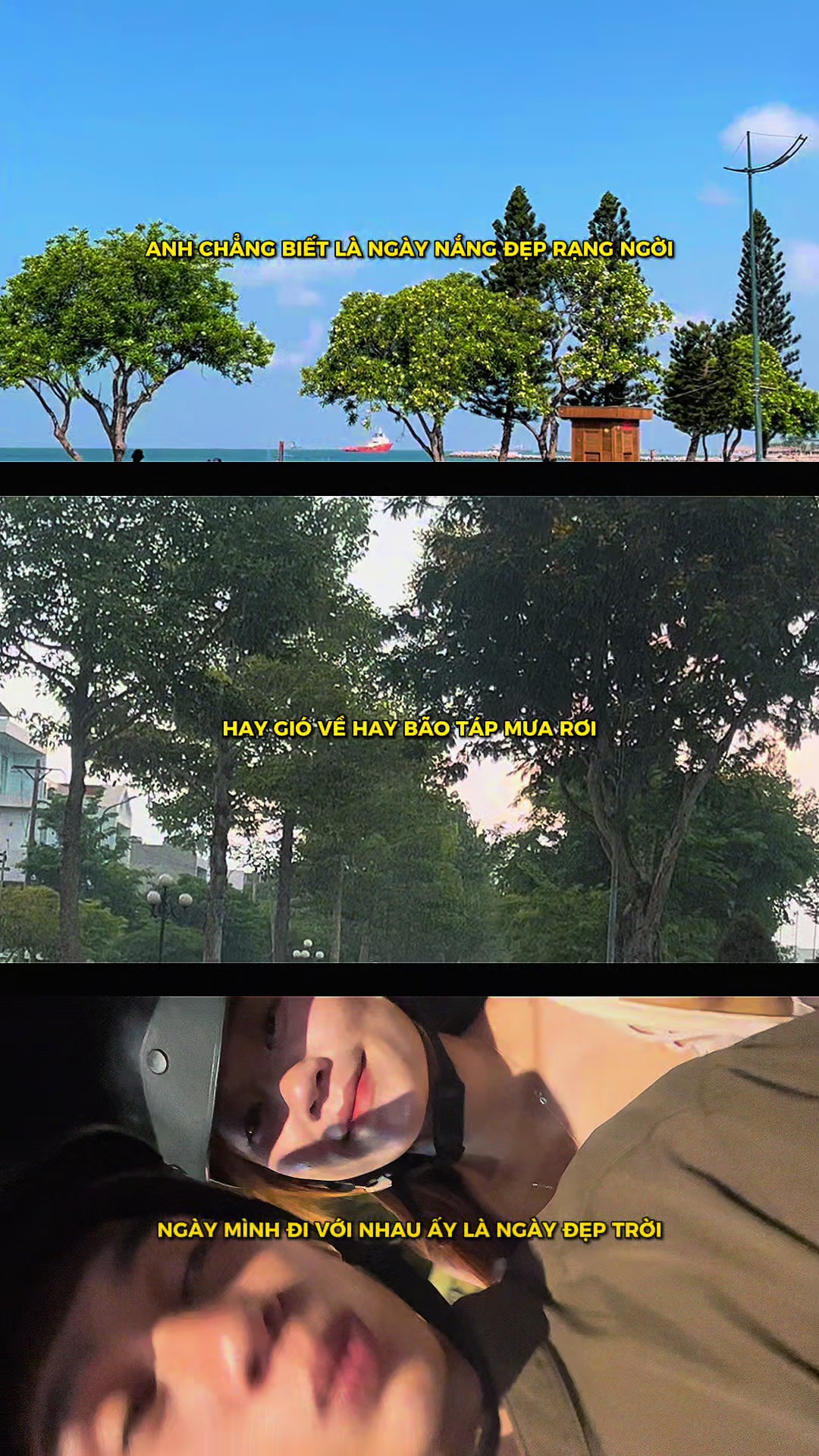@Tú Linh