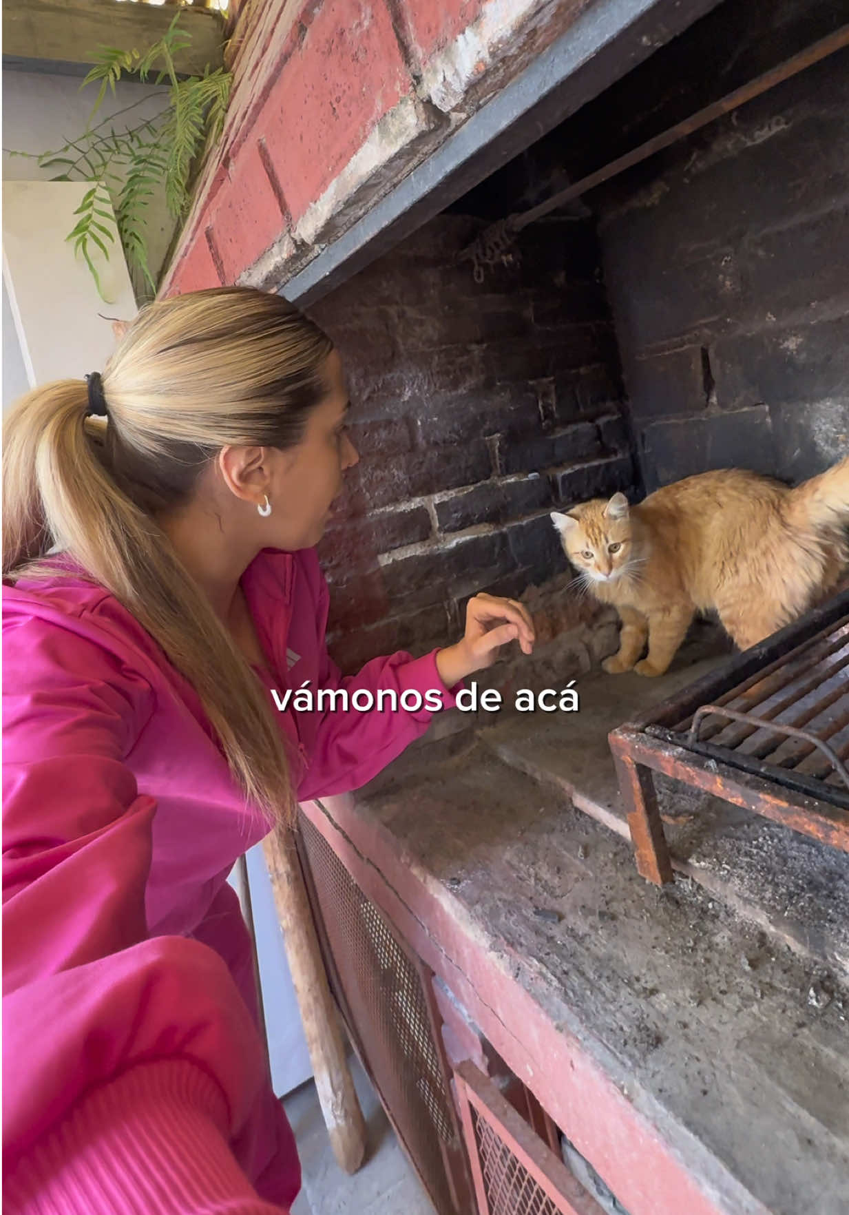 @Lucia Serenaa