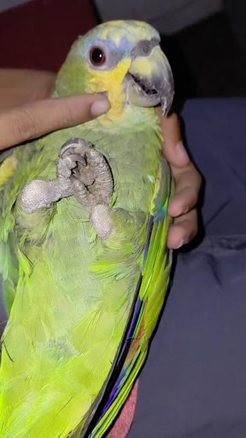 @𝓜𝓲𝔁𝓮𝓭 𝓲𝓷𝓭𝓲𝓪𝓷 🇬🇾